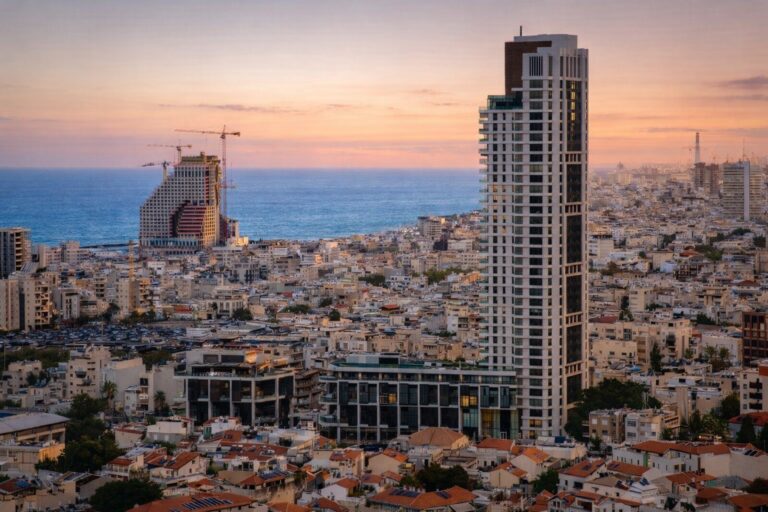 WhatsApp Image 2026-02-17 at 13.43